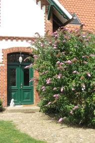Lovely house with pool, garden & barbecue | Nature view | Pets are welcome - Image 4