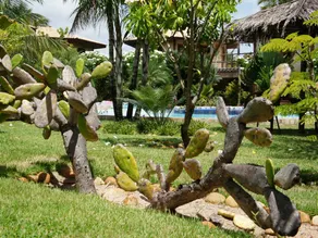 Apartment with pool, garden & terrace - Image 3