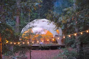 Peaceful Dome Rental on Cape Breton Island in Nova Scotia - Image 2
