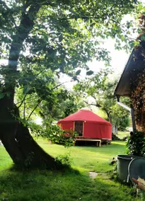 Cozy 28 m² yurt with stargazing view, barbecue area, and separate bathroom - Image 2