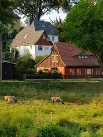 Holiday home with sauna & BBQ - Image 4