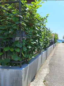 Apartment with terrace - Image 4