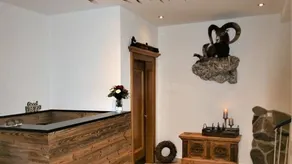 Children-friendly apartment with sauna, garden & terrace | Close to the ski - Image 4