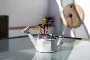 Holiday apartment with terrace & garden - Image 3