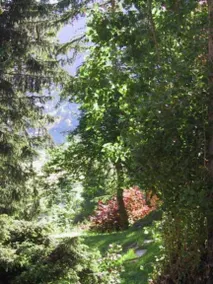 Chalet MAZOT ein umgebauter alter Kornspeicher - Image 4