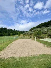 Agriturismo Val Verde - Camere, agricampeggio e grande parco: Camera 220 - Corio - Image 3