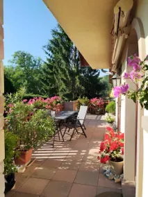 Child-friendly bed & breakfast with terrace & garden | Garden view | Good for workation | Pets are welcome - Image 3