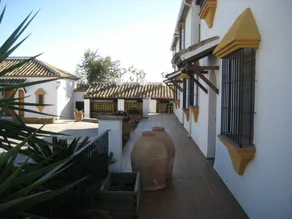 Schönes Ferienhaus mit Pool - Image 5