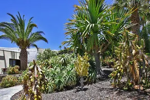 Bungalow Moijama 1, Puerto Naos - Image 5