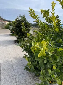 House with garden & terrace | Mountain view - Image 4