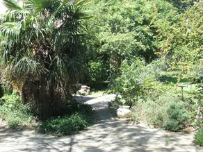 Familienorientiertes Privatzimmer mit Garten, Grill und privatem Pool | Gartenblick - Image 5