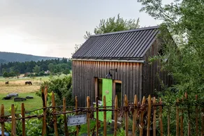 Tiny House 'Tanne' in the Heart of the Northern Black Forest - Image 2