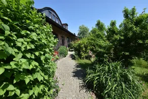 Spacious Apartment With Sauna In Buschenhagen - Image 4