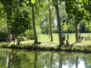 Schönes Mobilheim mit Pool und Terrasse | Hunde erlaubt - Image 4