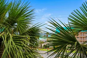 Grand Caribbean West 303 - Image 2