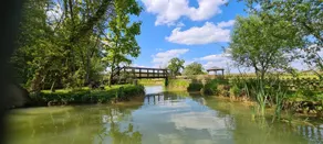 Child-friendly cabin with garden, hot tub & BBQ | Lake view - Image 4