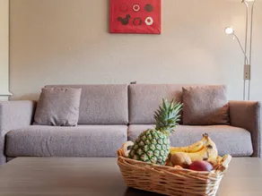 Apartment with sauna | Mountain view - Image 3