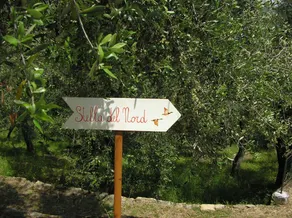 Terrazza Belvedere: STELLA DEL NORD - Image 2