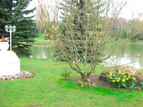 Haus am Kojenteich - Klosterdorf Cismar -"Teichwohnung" für Zwei auf idyllischem Seegrundstück - Image 3