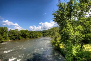Upstream Cottage Near Downtown Asheville and Trails Hot Tub and Balcony Pet Friendly - Image 4