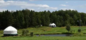 Yurt with Pond Access for Glamping Escapes in Ontario, Canada - Image 5