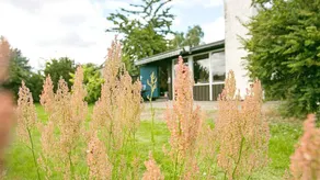 Charming house | Pet-friendly - Image 4