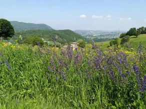 Agriturismo Belvedere - Image 3