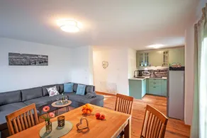Pleasant holiday apartment with terrace | Garden view | Dogs allowed - Image 2