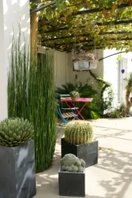 Bed and breakfast with terrace & garden | Garden view - Image 5