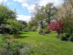 Ferienhaus mit Garten, Grill und Terrasse | Gartenblick - Image 4