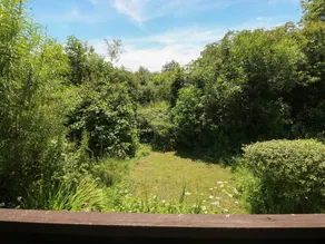 Cottage | Pet-friendly - Image 4