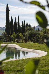 Agriturismo Serena - alloggi e oliveto: Appartamento Sargano - Image 5