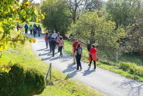 Feriendorf Pöllauberg - Image 5