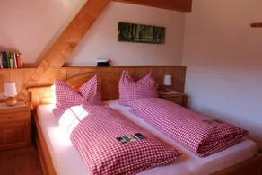 Incantevole appartamento adatto alle famiglie con giardino, barbecue e sauna | Vista sulla montagna - Image 5