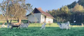 Child-friendly farm with pool, garden & barbecue | Panoramic view | Pets are welcome - Image 2
