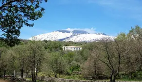 Boscoscuro dell'Etna: Novecento - Image 4