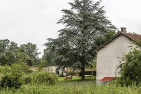 Le pré de Mazirat - Image 3
