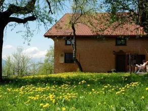 House with BBQ, terrace & garden | Nature view - Image 3
