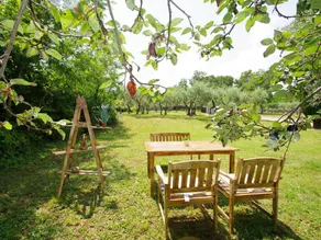 House with terrace, barbeque & garden | Nature view - Image 4