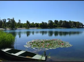Lotus Pearl Lake Retreat Apartments - One Bedroom Apartment with Terrace and Sauna - Image 5