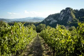 Tenuta Saiano: Appartamento Iris - Image 5