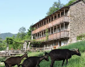 Agriturismo Corte Merina - Image 2