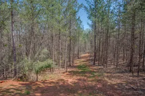 Bluebird Lookout: Adorable, secluded cottage that is pet friendly near Rutherfordton! - Image 5