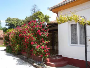 House with terrace, garden & barbeque - Image 3