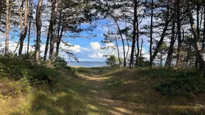 Holiday home with jacuzzi, terrace & sauna | Dogs allowed - Image 3