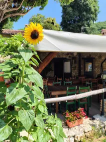 Al Vecio Magazin - Agriturismo familiare con panorama Colli Berici, cibo locale, passeggiate, uliveti, pet-friendly: Camera quadrupla - perfetta per famiglie - Image 2