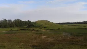 Wonderful holiday home with terrace | Dogs allowed - Image 3