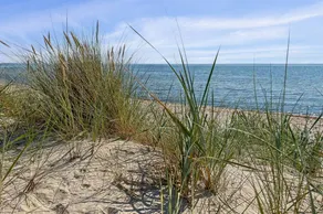 Familienorientiertes Ferienhaus mit Grill und Terrasse | Strand in der Nähe | Haustiere sind willkommen - Image 2