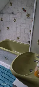 Dachgeschoss Wohnung nahe SAP - Image 4