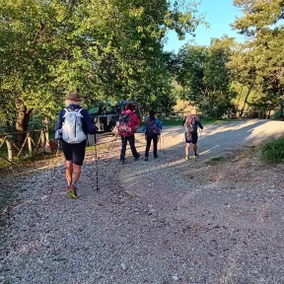 Montesalce - Agricampeggio: YURTA - Image 3
